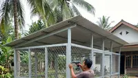 6 Model Kandang Ayam Kawat Kuat dan Kokoh, Tahan Lama Beri Perlindungan Optimal