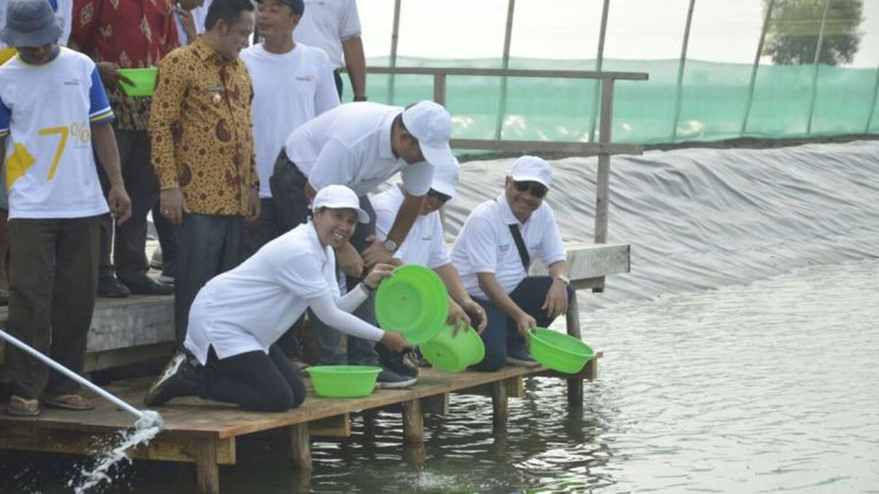 Menteri BUMN Rini M Soemarno meninjau kawasan Perhutanan Sosial Muara Gembong di Kabupaten Bekasi, Provinsi Jawa Barat, Selasa (17/4/2018).