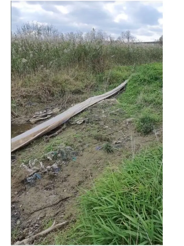Viral Mirip Sisik Ular Raksasa Ditemukan Pemancing di Thailand, Bikin Ternganga