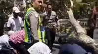 Sosok Dua Pengendara Korban Tewas Pohon Tumbang di Semarang