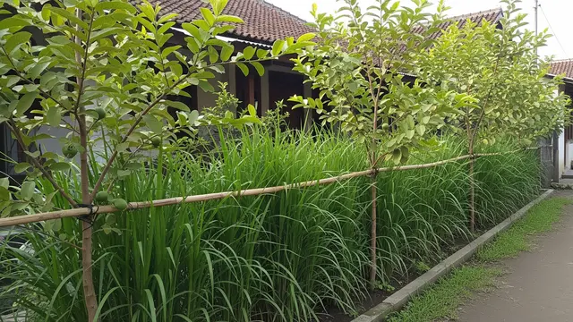 Kombinasi Pohon Buah dan Tanaman Herbal yang Membuat Ular Enggan Mendekat