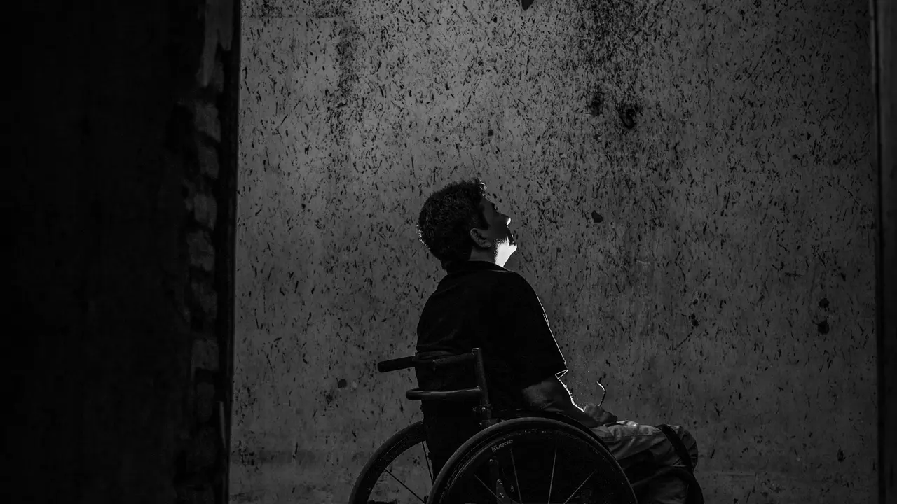 Disabilitas