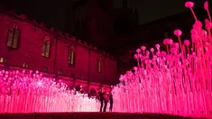 Sebuah instalasi seni berjudul 'Entre Les Rangs' menghiasi Katedral Salisbury pada Festival Cahaya Lumiere Durham di Inggris utara, 15 November 2017. Festival cahaya terbesar di Inggris ini melibatkan seniman lokal dan internasional. (OLI SCARFF/AFP)
