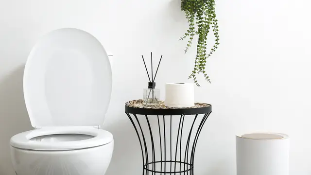 Toilet.