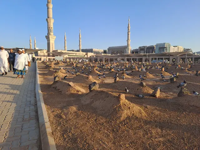 Jemaah haji embarkasi Solo wafat sesaat tiba di bandara Madinah usai keluhkan kepala pusing
