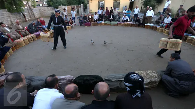 20160514-Melihat Serunya Pertandingan Burung Partridge di Irak