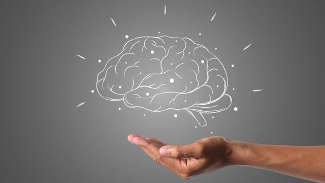 Brain