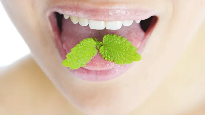 Foto: copyright thinkstockphotos.com