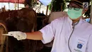 Petugas menunjukan suhu tubuh hewan kurban di Jakarta, Jumat (24/8). Kambing dan sapi yang di jual di periksa untuk memastikan kesehatan dan kelayakan untuk dijadikan hewan kurban. (Liputan6.com/Johan Tallo)
