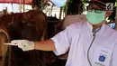 Petugas menunjukan suhu tubuh hewan kurban di Jakarta, Jumat (24/8). Kambing dan sapi yang di jual di periksa untuk memastikan kesehatan dan kelayakan untuk dijadikan hewan kurban. (Liputan6.com/Johan Tallo)