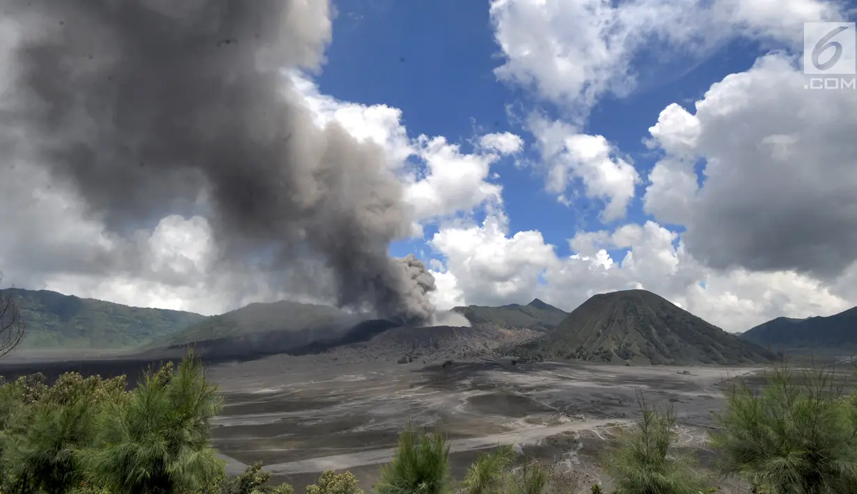 Pemandangan erupsi Gunung Bromo di kawasan Ngadisari, Probolinggo, Jawa Timur, Senin (25/3). Kawasan Gunung Bromo tetap aman dikunjungi wisatawan selama tidak memasuki jarak radius 1 kilometer dari kawah. (merdeka.com/Arie Basuki)