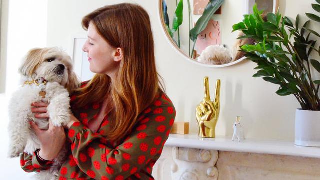 20170226-Tips usir hewan peliharaan dari sofa