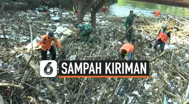 sampah kayu thumbnail