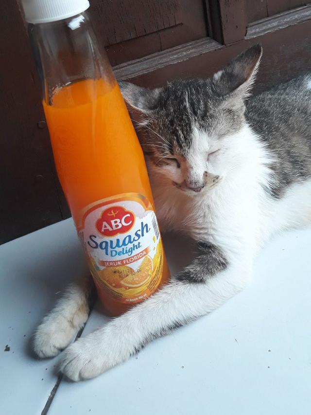 meme nunggu bedug maghrib