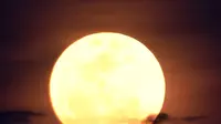 Keindahan supermoon yang terlihat di atas Pantai Sanur, Bali, Senin (14/11). Fenomena ini terjadi saat bulan mencapai titik terdekat dengan bumi dan merupakan fenomena supermoon terbesar dalam 68 tahun terakhir. (SONNY TUMBELAKA/AFP)