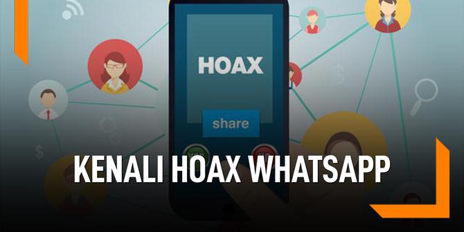 VIDEO: Cara Kerja Fitur Kenali Hoaks yang Akan Dikeluarkan WhatsApp