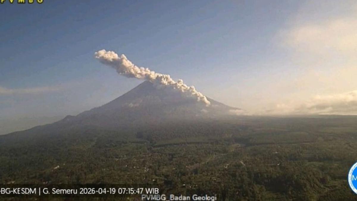Seismogram Rekam Erupsi Semeru Selama 4 menit 31 detik