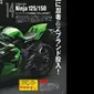 Kawasaki dikabarkan menyiapkan model baru untuk keluarga Ninja. (Otosia)