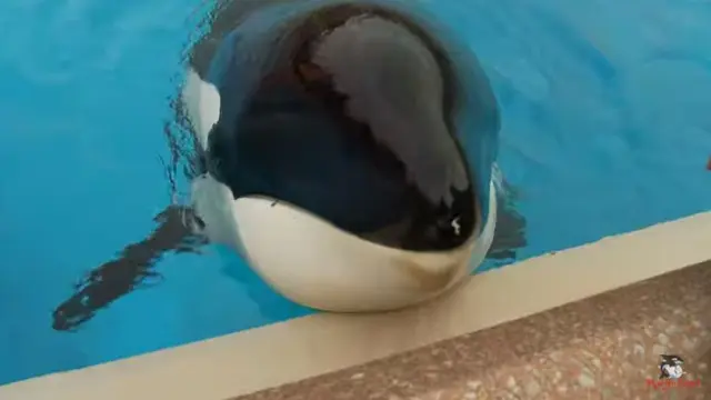 Kiska