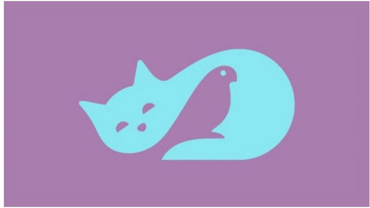 Kucing atau Burung yang Pertama Dilihat? Jawabannya Ungkap Kamu Orang Baik Hati