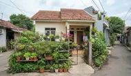 6 Ide Kebun Sayur untuk Rumah Type 36 dengan Lahan Terbatas, Praktis dan Hemat Tempat