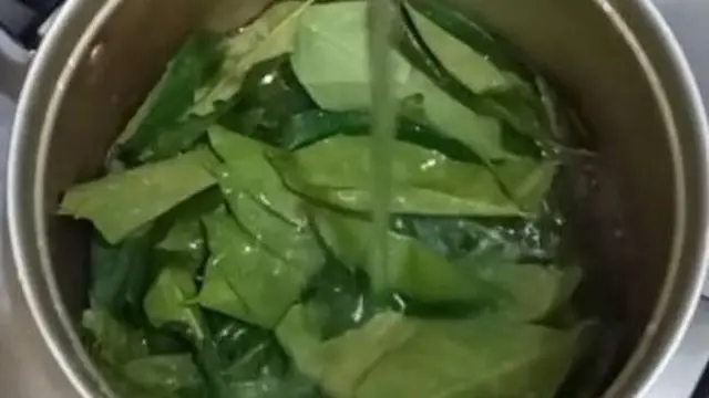 Cara Sederhana Merebus Daun Salam untuk Tubuh Sehat