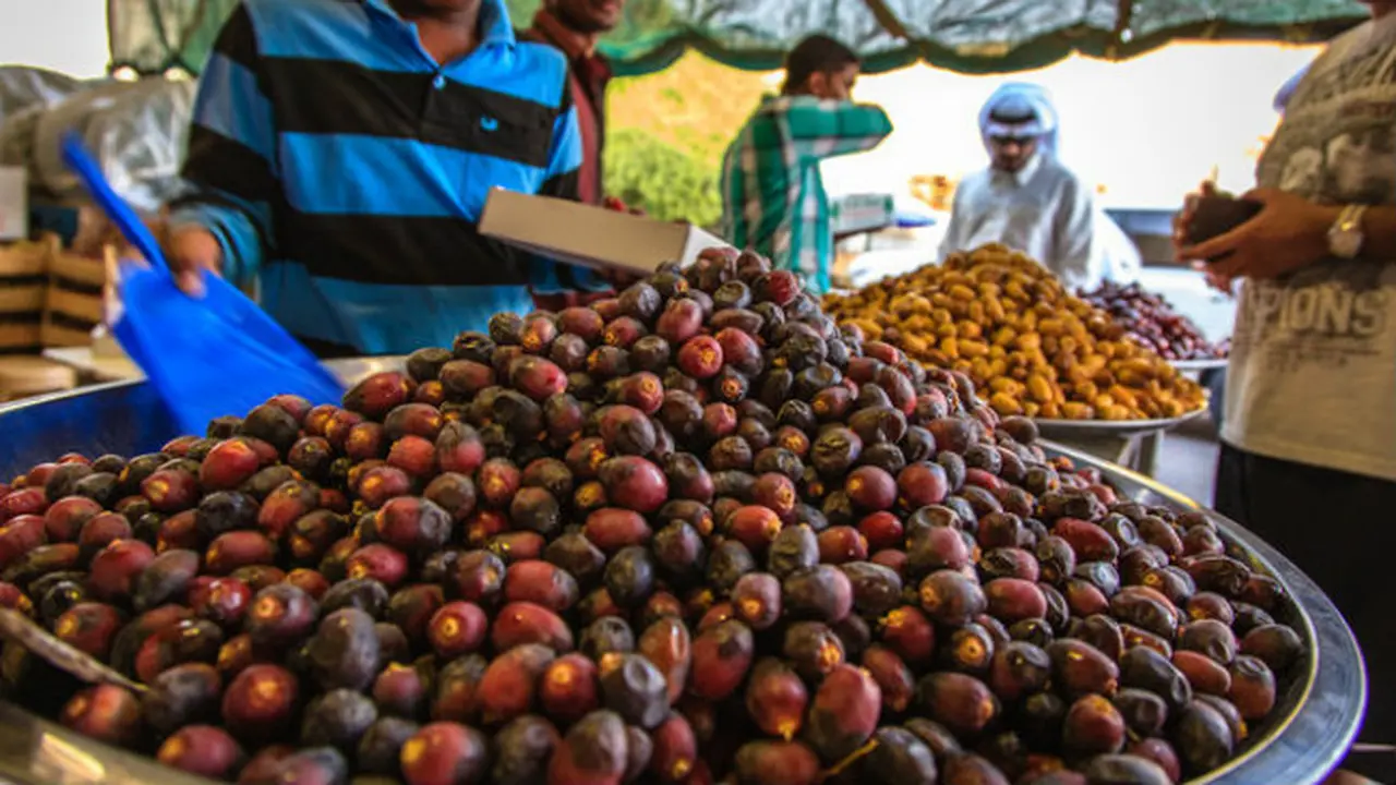 Kurma