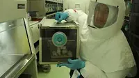 H1N1 Mutasi di India, Kemkes RI Siaga 