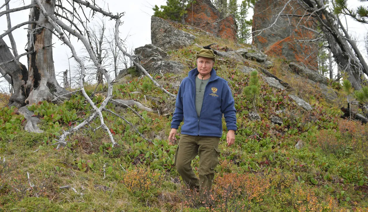 Presiden Rusia, Vladimir Putin ketika menghabiskan waktu di kawasan hutan pegunungan Siberia, pada 6 Oktober 2019. Presiden Vladimir Putin menikmati hari lahirnya dengan mendaki pegunungan dan memetik jamur liar pada akhir pekan lalu. (Alexey DRUZHININ / Sputnik / AFP)