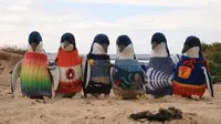 Kakek ini menyulam sweater lucu untuk para penguin.