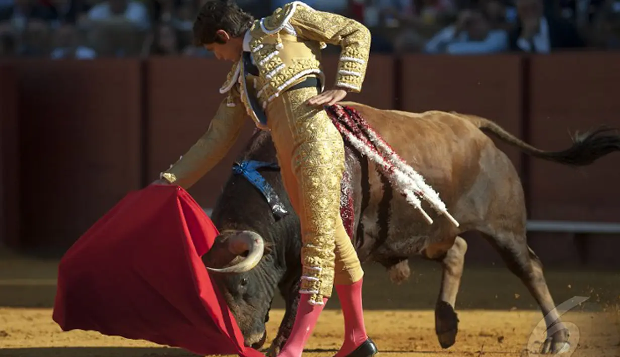 Matador Perancis Sebastian Castella beraksi di arena adu banteng, Maestranza, Sevilla, Senin (5/5/2014) (AFP Photo/Gogo Lobato).  