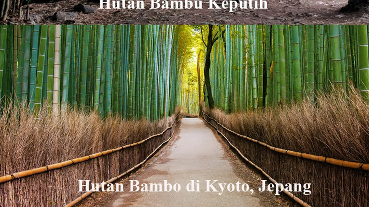 Hutan Bambu Keputih.