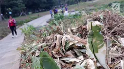 Kondisi tanaman yang ada di sekitar Hutan Kota GBK, Jakarta, Selasa (2/7/2019). Kurangnya perawatan berakibat rusaknya beberapa tanaman yang ada di area Hutan Kota GBK. (Liputan6.com/Helmi Fithriansyah)