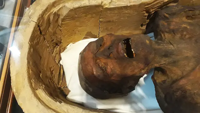 Museum Mesir Pamerkan Mumi Menjerit