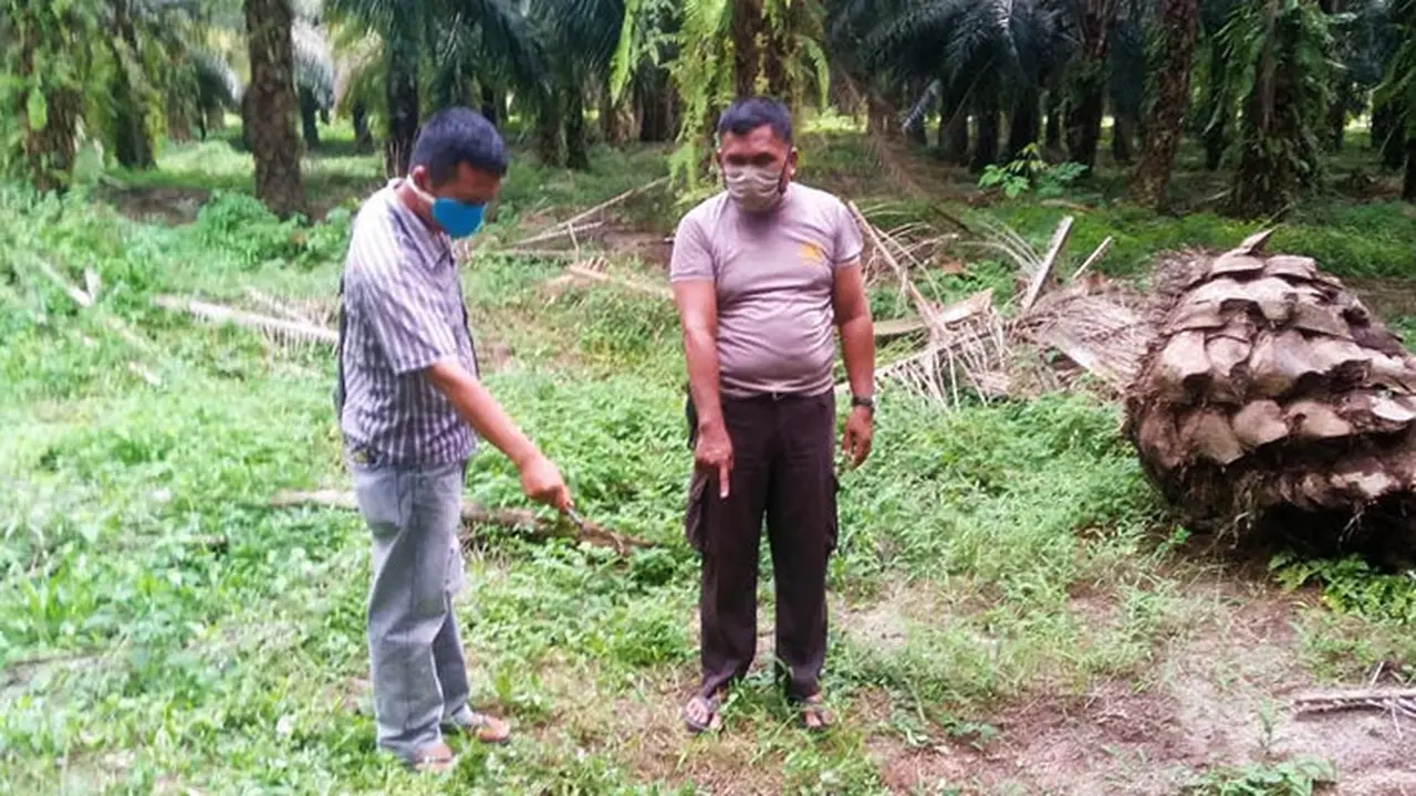 Lokasi penemuan bayi
