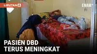 Ratusan Pasien DBD Terus Meningkat Sejak Masuk Musim Penghujan