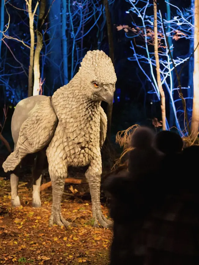 Rencana Atraksi Harry Potter di Hutan Terlarang Versi Australia Tersandung Petisi, Dituding Ganggu Hewan Liar dan Hutan