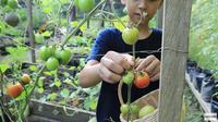 Menengok Kebun di Rumah Keluarga Andrew Kalaweit yang Dijuluki Tarzan Kalimantan. foto: Youtube 'Prada Kalaweit'