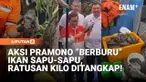 Pemerintah Provinsi Pemerintah Provinsi DKI Jakarta menggelar operasi tangkap ikan sapu-sapu secara serentak di lima wilayah kota administrasi, Jumat (17/4/2026). Kegiatan ini dipimpin langsung oleh Gubernur Pramono Anung yang turun meninjau lokasi d...