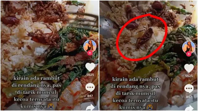 6 Momen Apes saat Makanan Dihinggapi Kecoa Ini Bikin Perut Mual
