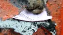 Sisa-sisa dokumen yang terbakar masih terlihat di salah satu ruangan Kantor Komisi Nasional Perlindungan Anak di Jakarta, Senin (29/6/2015). Kantor Komnas PA terbakar pada Sabtu, 28 Juni 2015 sekitar pukul 21.00 WIB. (Liputan6.com/Yoppy Renato)