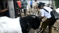 Menjelang Idul Adha, usaha salon kambing di Cilacap, Jawa Tengah, meraup untung hingga Rp 600 ribu per hari. (Liputan6.com/Muhamad Ridlo)