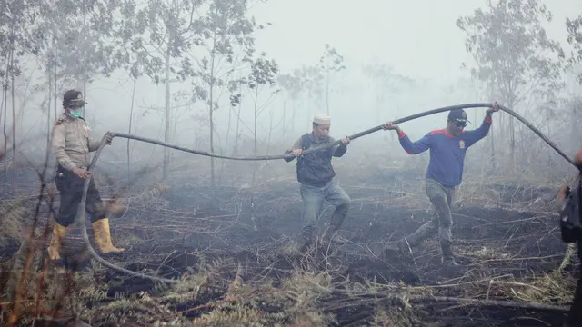 Api Kembali Berkobar di Meranti, Ratusan Hektare Lahan Menghitam