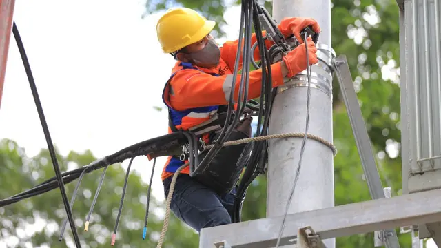PLN
