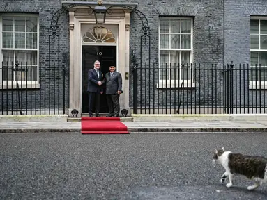 Larry the Cat (depan) berjalan melewati Perdana Menteri Inggris Keir Starmer (kedua kiri) saat menyambut Presiden Indonesia Prabowo Subianto untuk pertemuan mereka di Downing Street di pusat kota London pada 20 Januari 2026. Presiden Republik Indonesia, Prabowo Subianto melakukan pertemuan dengan Perdana Menteri (PM) Inggris, Keir Starmer, di Kantor PM Inggris, Downing Street, London, Selasa (20/01/2026). (JUSTIN TALLIS/POOL/AFP)