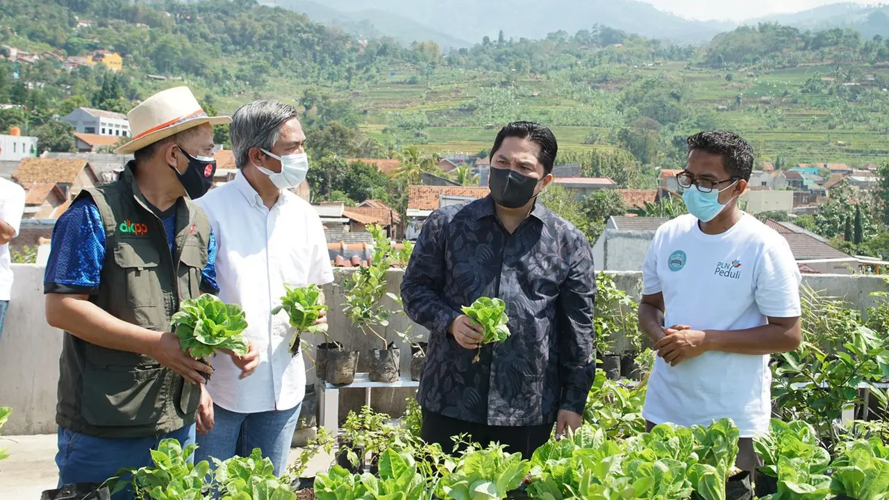 Menteri BUMN, Erick Thohir meninjau lahan kosong sebuah masjid di Bandung yang sukses diubah menjadi pertanian modern berkat dukungan PT PLN.