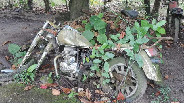 10 Motor Tak Pernah Dipakai Ini Bikin Geleng Kepala, Jadi Tempat Jamur