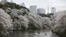 Sejumlah pengunjung naik perahu menikmati keindahan bunga sakura yang mekar sempurna di Chidorigafuchi selama musim semi di Tokyo, Jepang, (4/4). Bunga Sakura merupakan satu keunggulan negara Jepang. (REUTERS/Issei Kato)