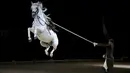 Penunggang melatih kudanya untuk melompat saat gladi resik untuk memperingati ulang tahun Spanish Riding School of Vienna yang ke-450 di SSE Arena di London, Inggris (10/11). Kuda yang digunakan adalah kuda keturunan asli Spanyol. (Reuters/Peter Nicholls)