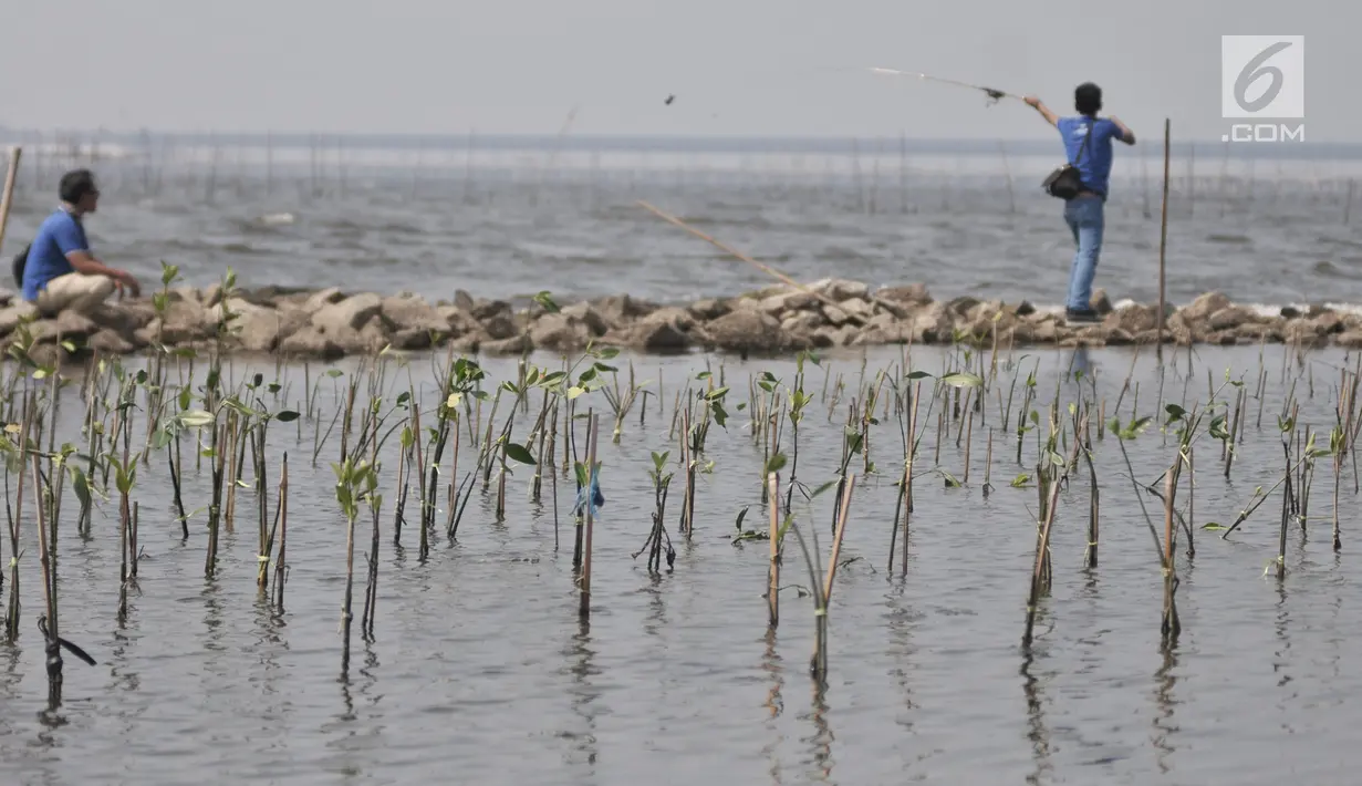 <p>Warga memancing di dekat hutan bakau yang tersisa di pesisir Marunda, Jakarta, Selasa (27/8/2019). Tutupan hutan tersebut berakibat bertambahnya emisi karbon dioksida hingga 4,69 kilo ton. (merdeka.com/Iqbal S. Nugroho)</p>